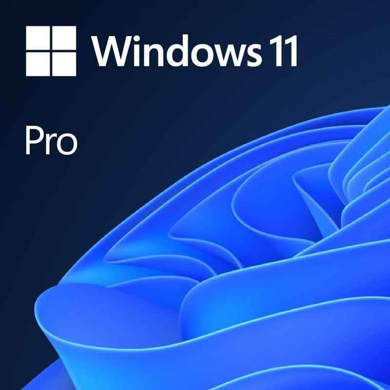 Windows 11 Pro software interface for Windows 11 Home to Pro upgrade by gnewnetworks