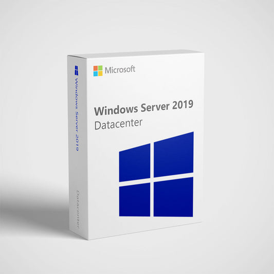 Microsoft retail box for Windows Server 2019 Datacenter license showing white packaging with blue Windows logo and product name