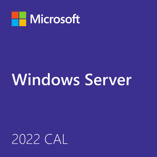 Microsoft Windows Server product cover showing Windows Server branding and Windows Server 2022 CAL license